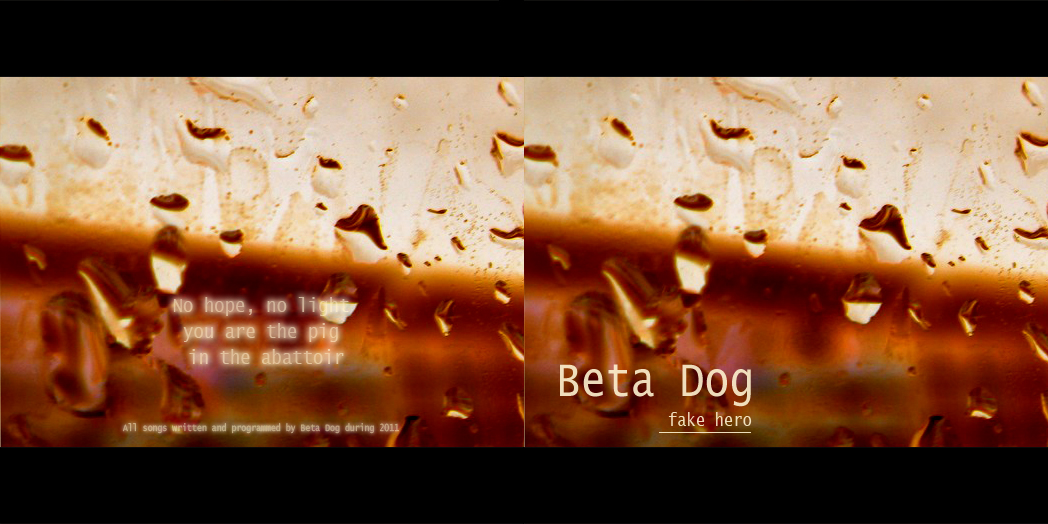 betadog_front_cd