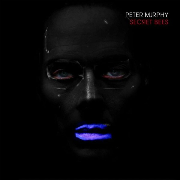 Peter Murphy – Secret Bees