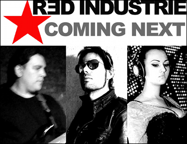 redindustrie_2013