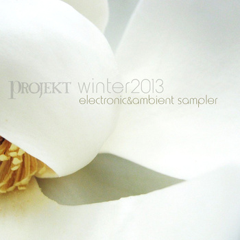 projekt_winter2103