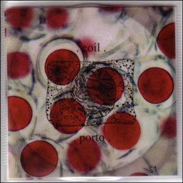 coil_porto