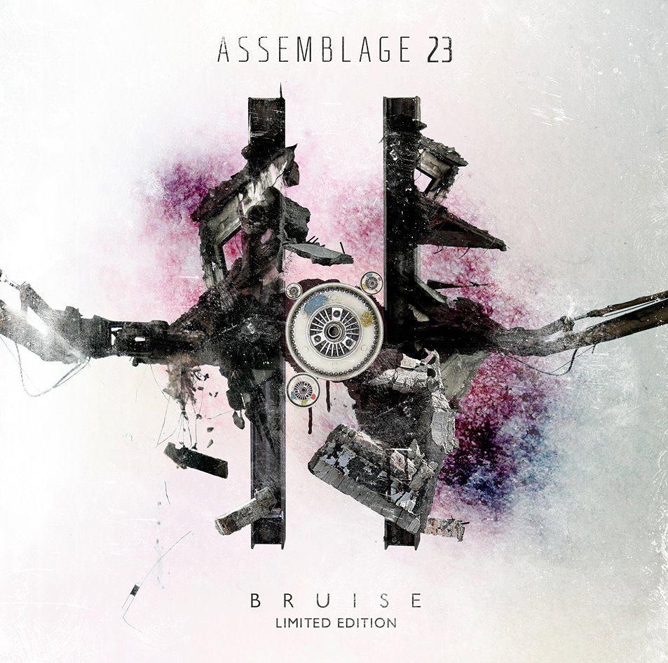 Assemblage_23_-_Bruise