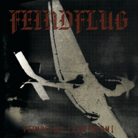 Feindflug_vinyl