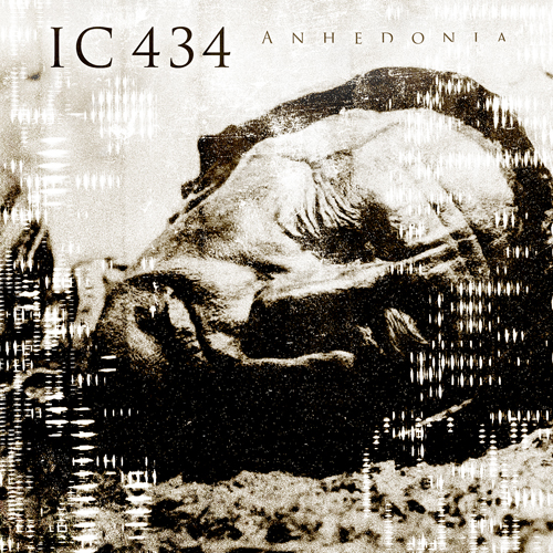 IC-434-Anhedonia