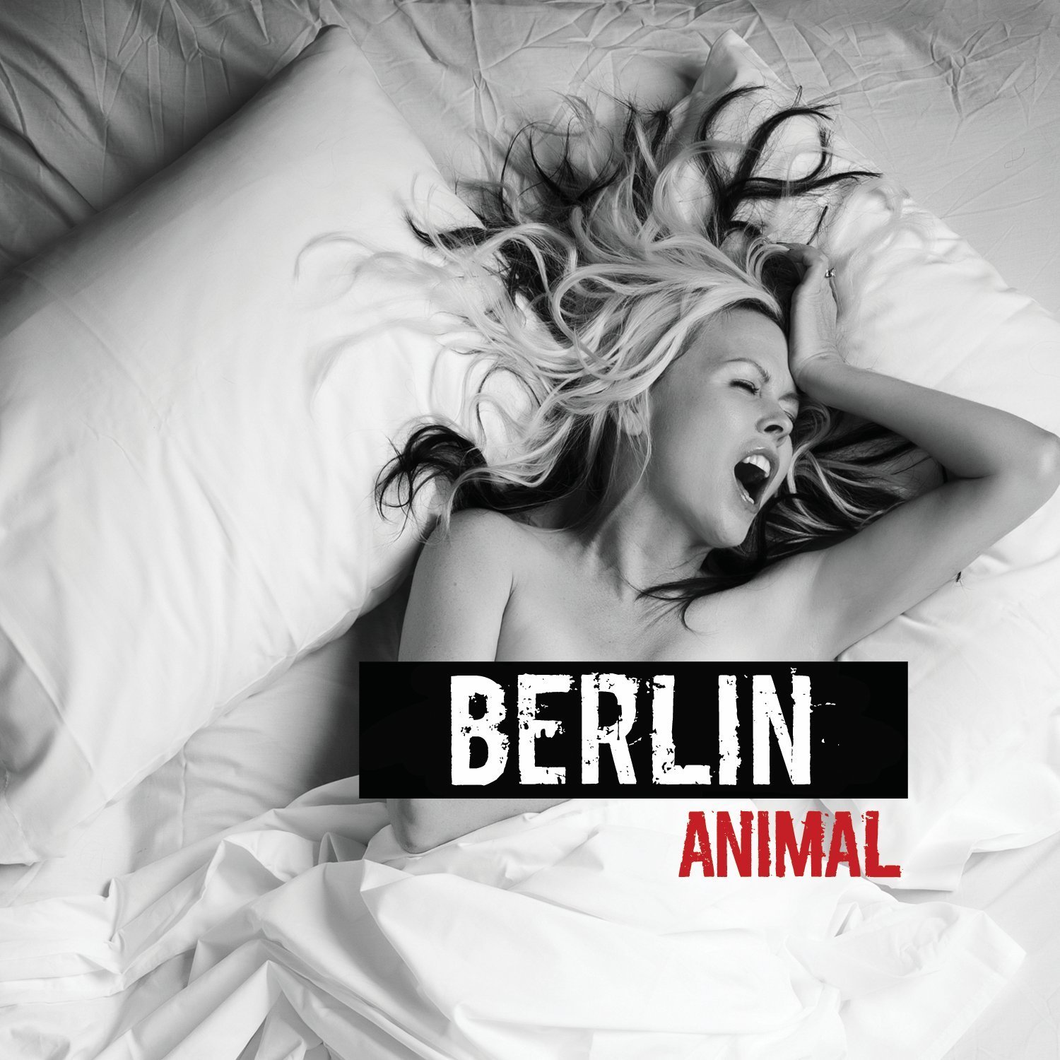 berlin_-_animal