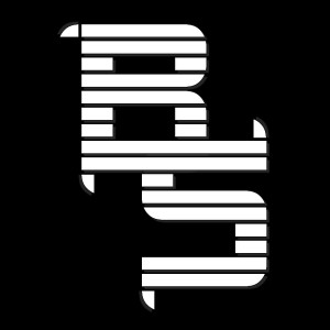 brain_sektor_-_logo