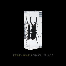 deine lakaien crystal palace