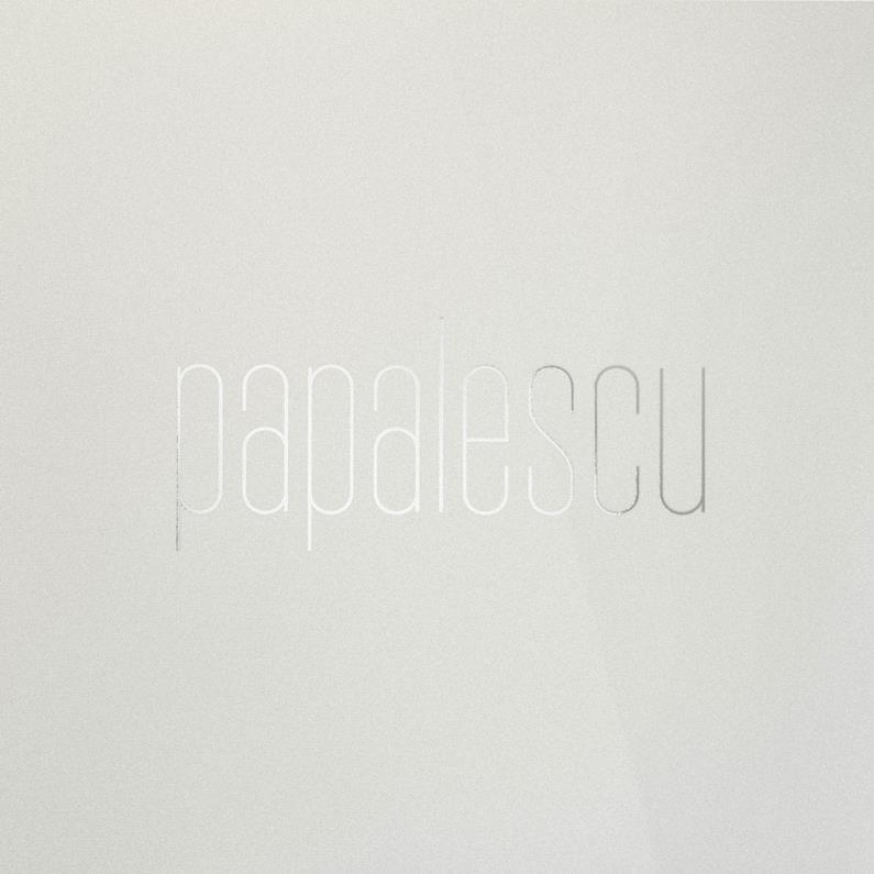 papalescu_-_electric_soul