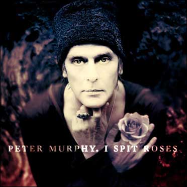 Peter Muprhy I spit roses