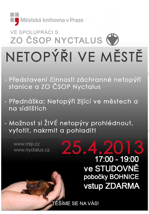 NETOPYRI_VE_MESTE_POSTER_copy