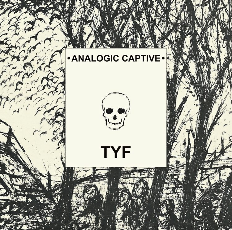 Analogic Captive - TYR